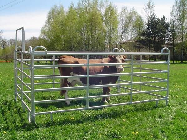 Equipamento para fazenda e rancho Painéis de curral de gado Cerca de aço para porcos Canetas de painel para cavalos Mercado norte dos EUA