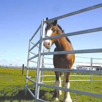 Equipamento para fazenda e rancho Painéis de curral de gado Cerca de aço para porcos Canetas de painel para cavalos Mercado norte dos EUA